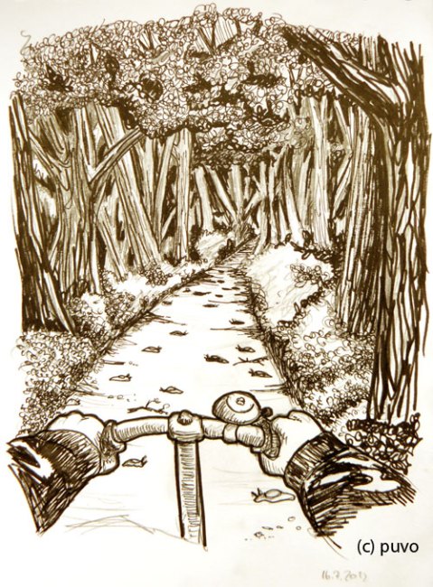Nacktschnecken im Wald. Illustration von puvo productions.